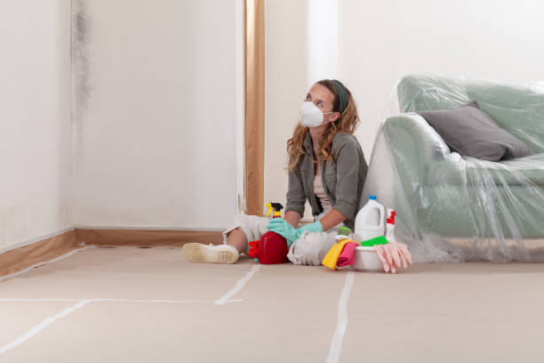 Reliable Commercial Mold Remediation contractor in Stokes, NC by WQB Mold Removal